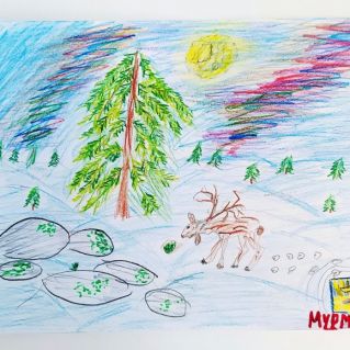 Красота Заполярного края