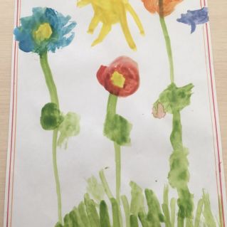 Прекрасный мир цветов