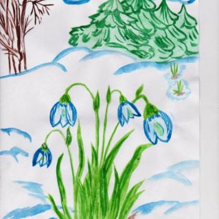 Первоцветы....