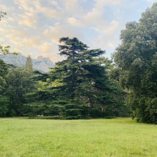 «Воронцовский парк.Алупка.Крым.»