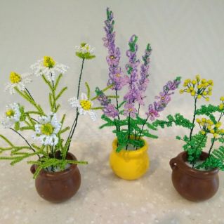 "Полевые цветы"