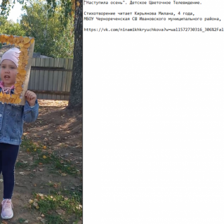 "Наступила осень". Детское Цветочное Телевидение. https://vk.com/ninamikhkryuchkova?w=wall572730316_306%2Fall