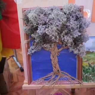 Чудо дерево