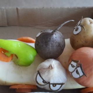 "Овощи мои друзья"