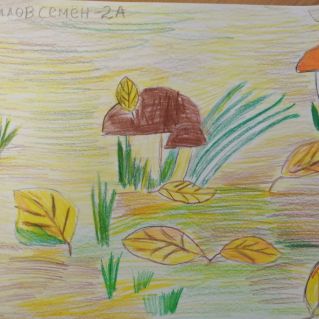 Грибная полянка