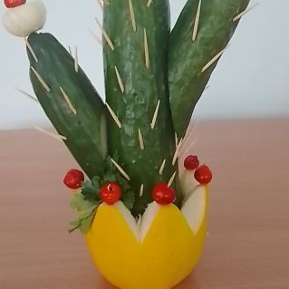 "Весёлый кактус"