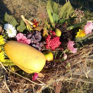 Дары нашей осени!