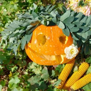 Весёлая осень.