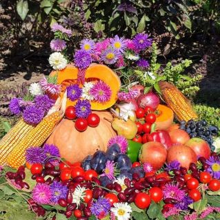 Плоды осени!