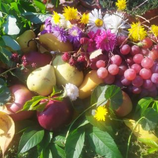 Щедра осень плодами!