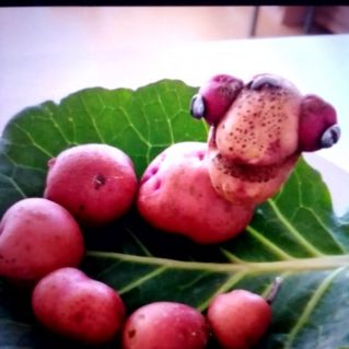 Поделки " Весёлые овощи"