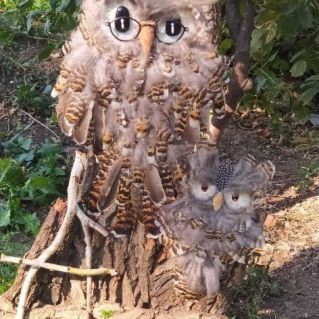 "Мудрые совы!"