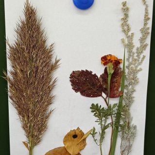 Вздох осени