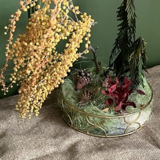 Ёжик в лесу