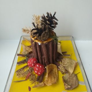 На лесной полянке