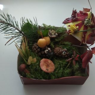 Под грибком