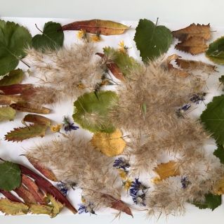 Осенняя фантазия