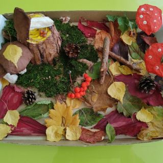 Грибная полянка