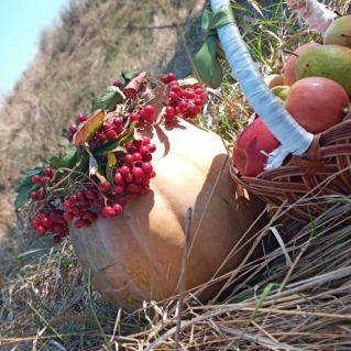 Щедра осень  дарами.