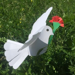 Голубь мира