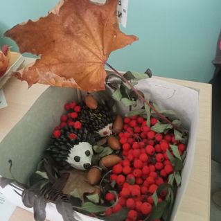 Ёжики в лесу