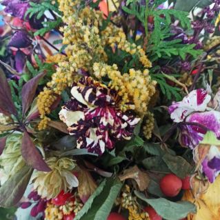 Осенний лес