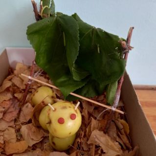 Осень-чудная пора!!!