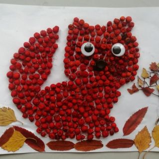 Рябиновый котик