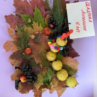 Веселая гусеница