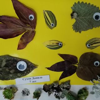 Желтое море