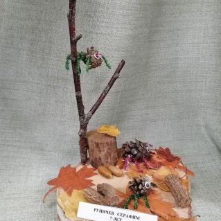 Паучки осенью