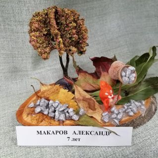 Осенний урожай