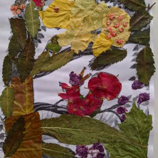 Осень в лесу