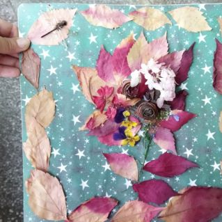 Красота осени