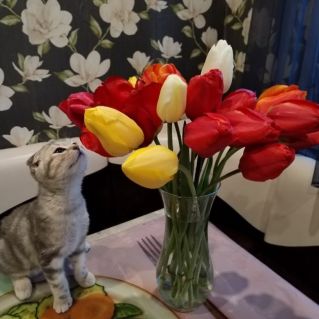 Аромат цветов