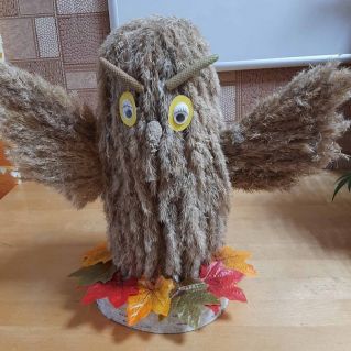 Мудрая Сова