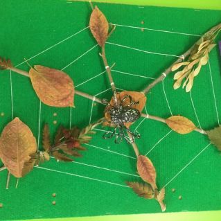 Паучок в осенней паутинке