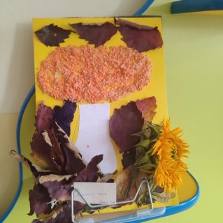 "Осенний гриб"