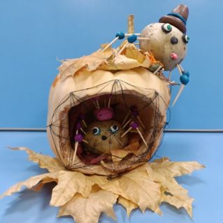 Восьминогие друзья - паучки