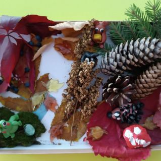 В сказочном лесу