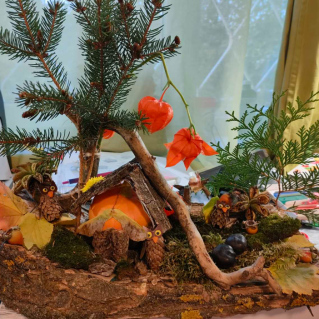 Совиные истории