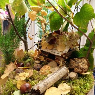 Избушка лесника