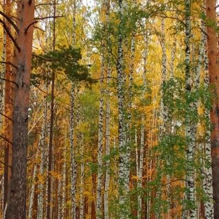 Засентябрило