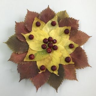 Волшебная тарелочка