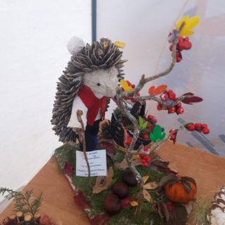 "Ёжик - чудачок!"