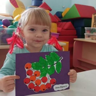 Ветка рябины