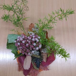 "На осенней полянке"