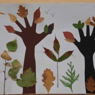 Осенний лес