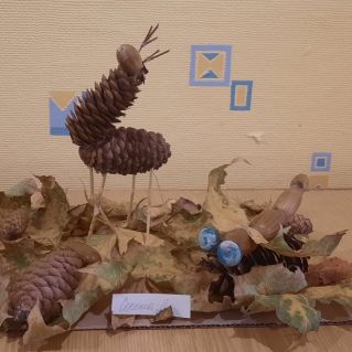 Осенняя поляна