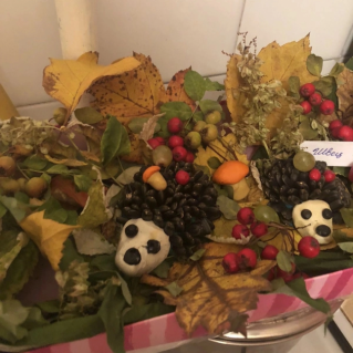 Осенние ёжики в лесу